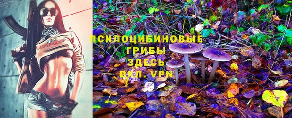 соль курить ск Лагань