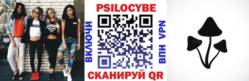 блэк спрут ССЫЛКА  Луга  Псилоцибиновые грибы GOLDEN TEACHER 